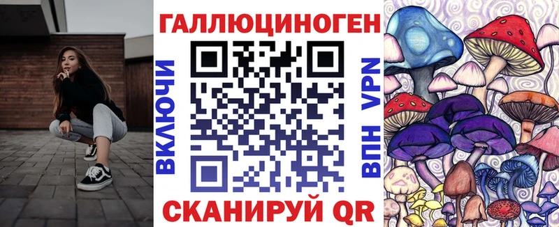 магазин продажи наркотиков  Трубчевск  Галлюциногенные грибы прущие грибы 